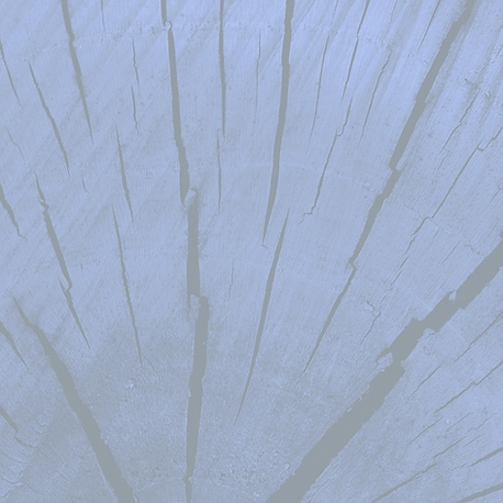 Blue Wood_edited_edited.png